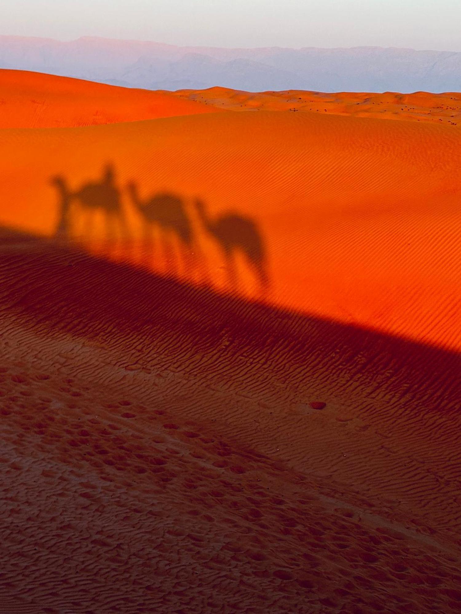 Alsarmadi Desert Camp Shāhiq Exterior foto